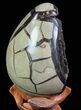 Septarian Dragon Egg Geode - Black Crystals #71991-2